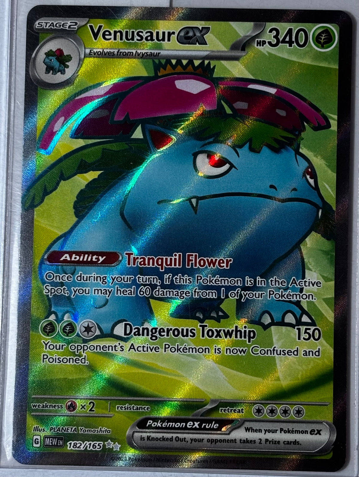 VENUSAUR EX #182
